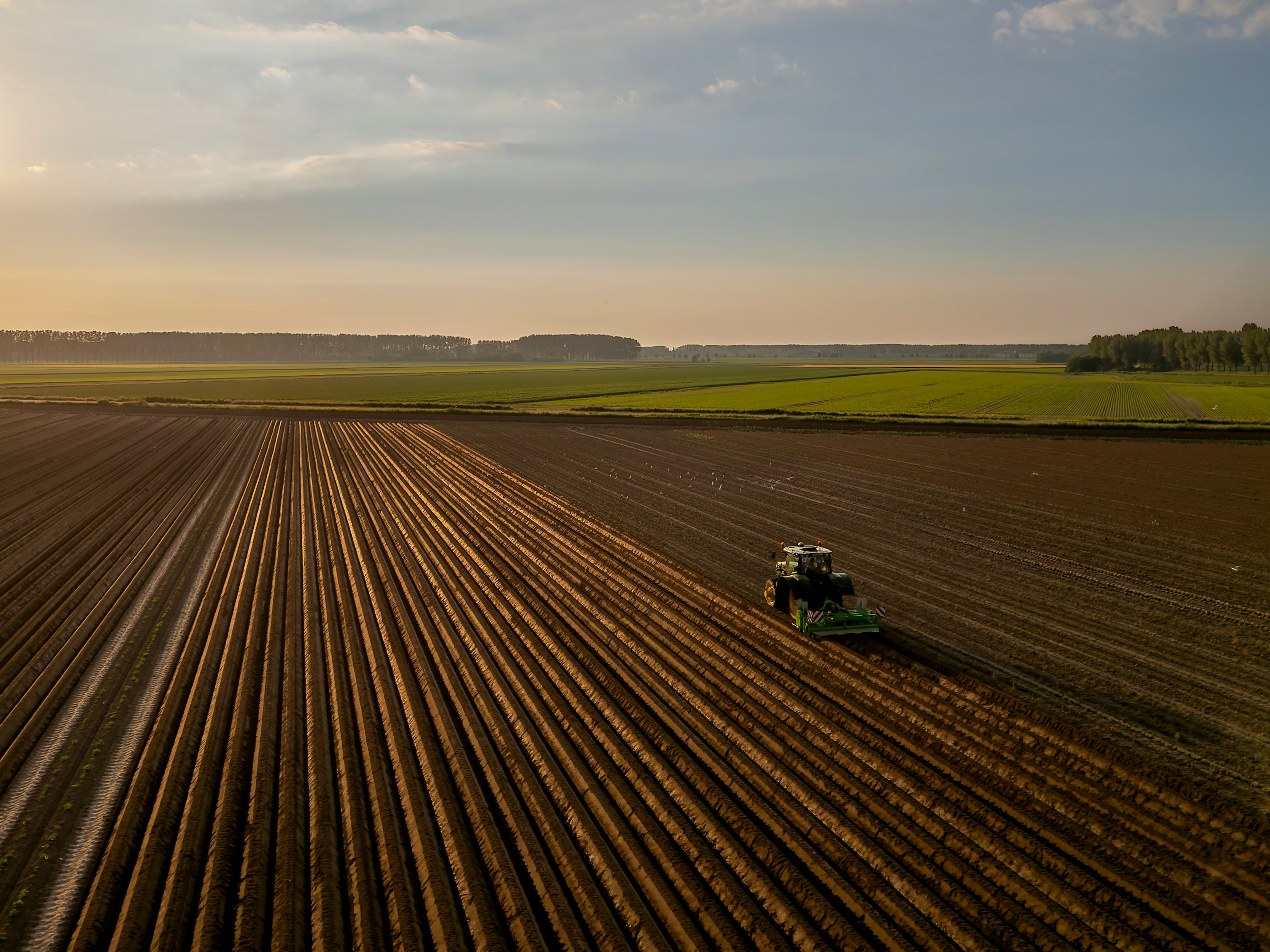 Boeren in Utrecht verbijsterd door provinciale stikstofplannen