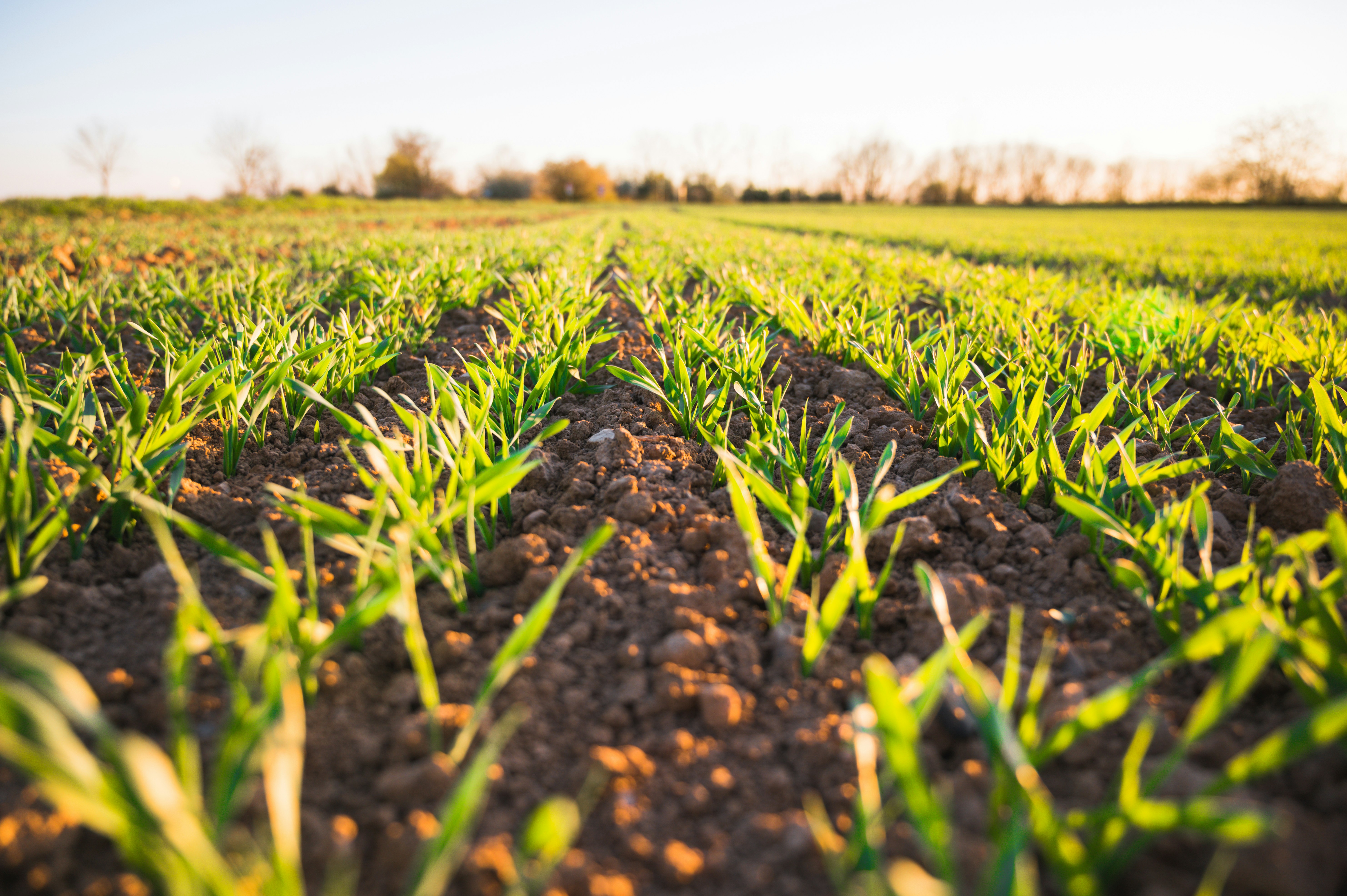 Duurzame Landbouw: De Toekomst van Agrarisch Vastgoed