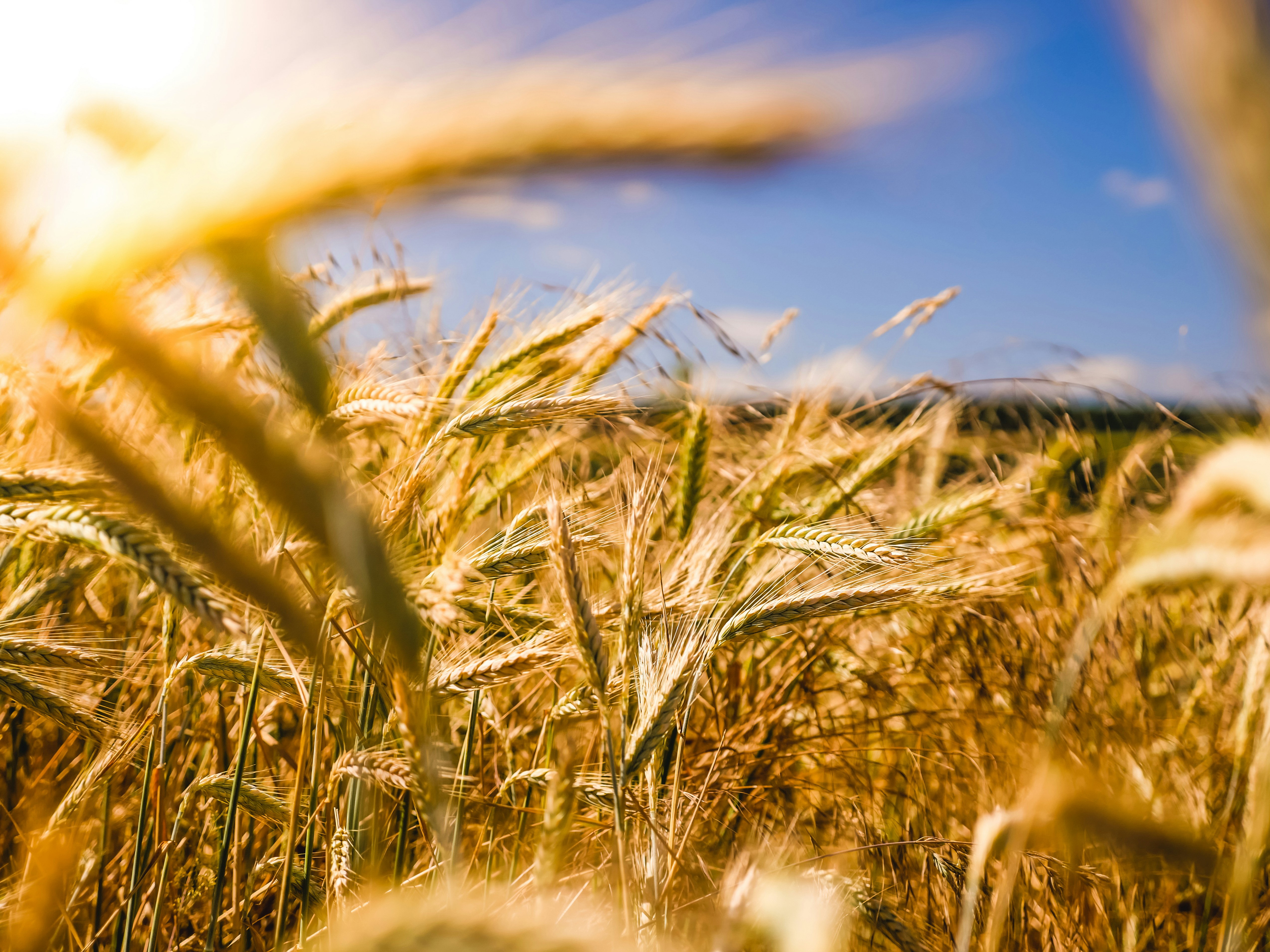 Agrarisch vastgoed investering