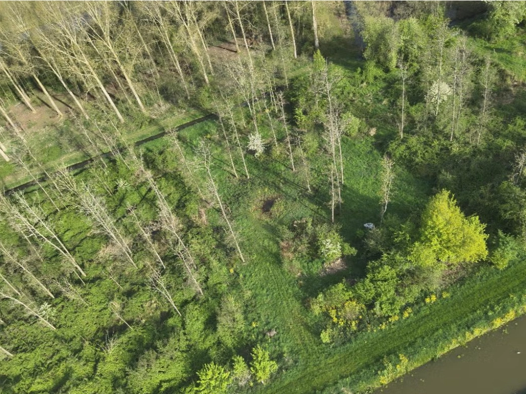 Uniek stuk natuurgrond - Vianen - Afbeelding 1