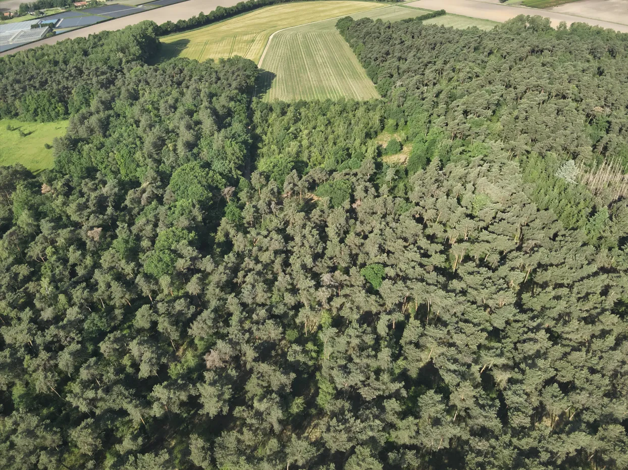 Heide - Roggel