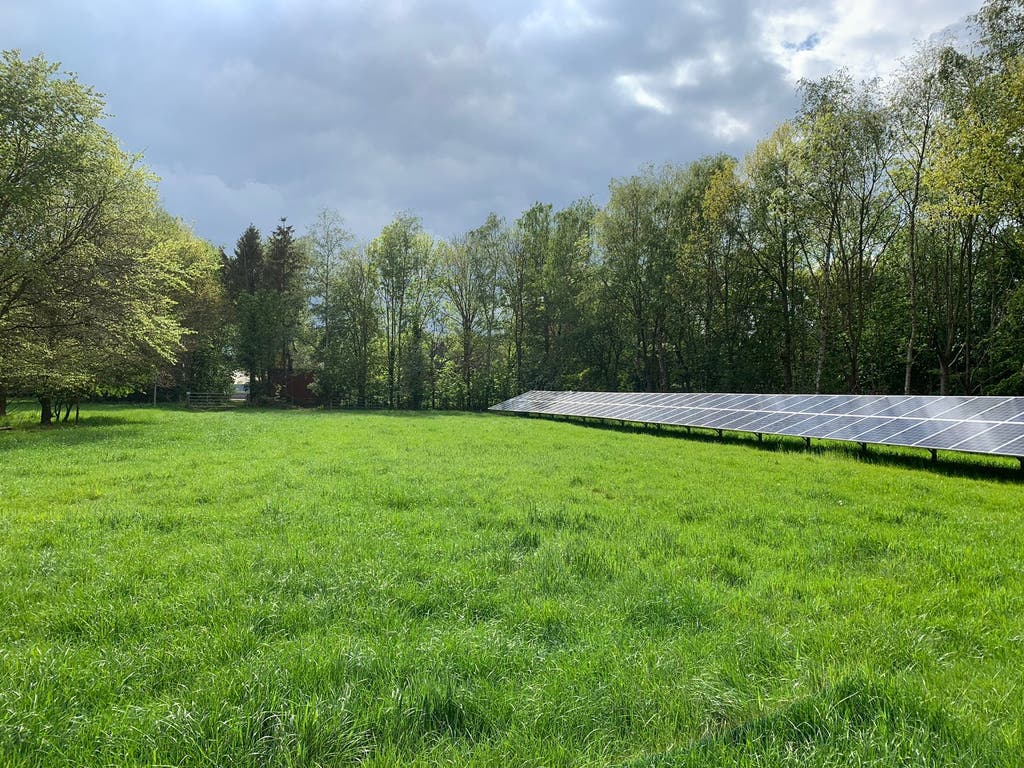 Veenakkers - Gieterveen - Afbeelding 1