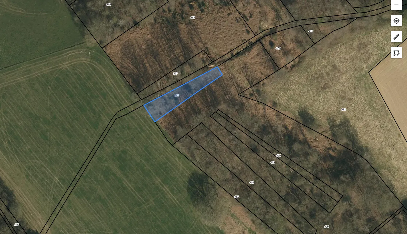 Bosperceel Vaals - Limburg - VAA00 G 421 - Afbeelding 1