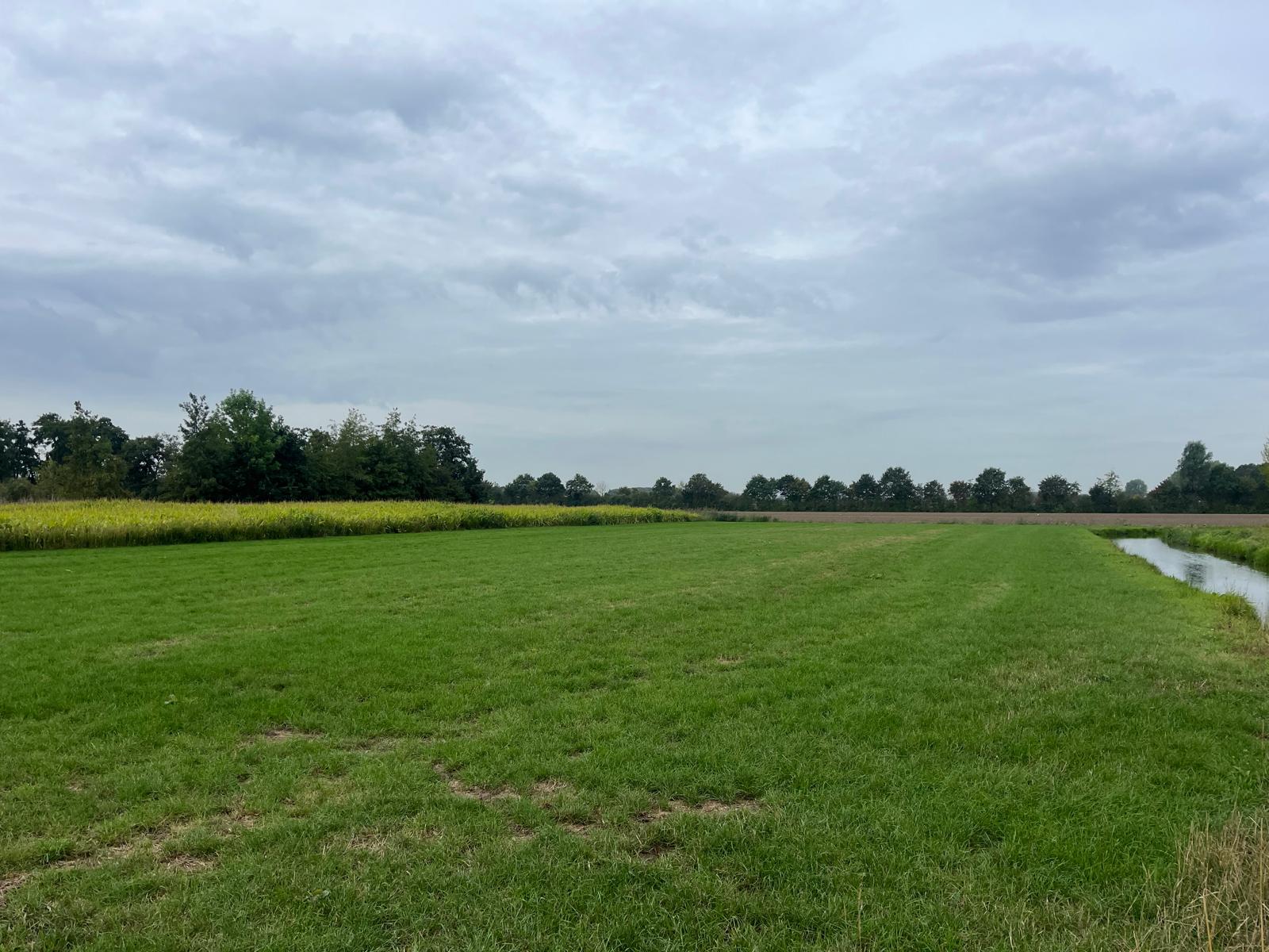 Middelsteeg - Zaltbommel - Afbeelding 1
