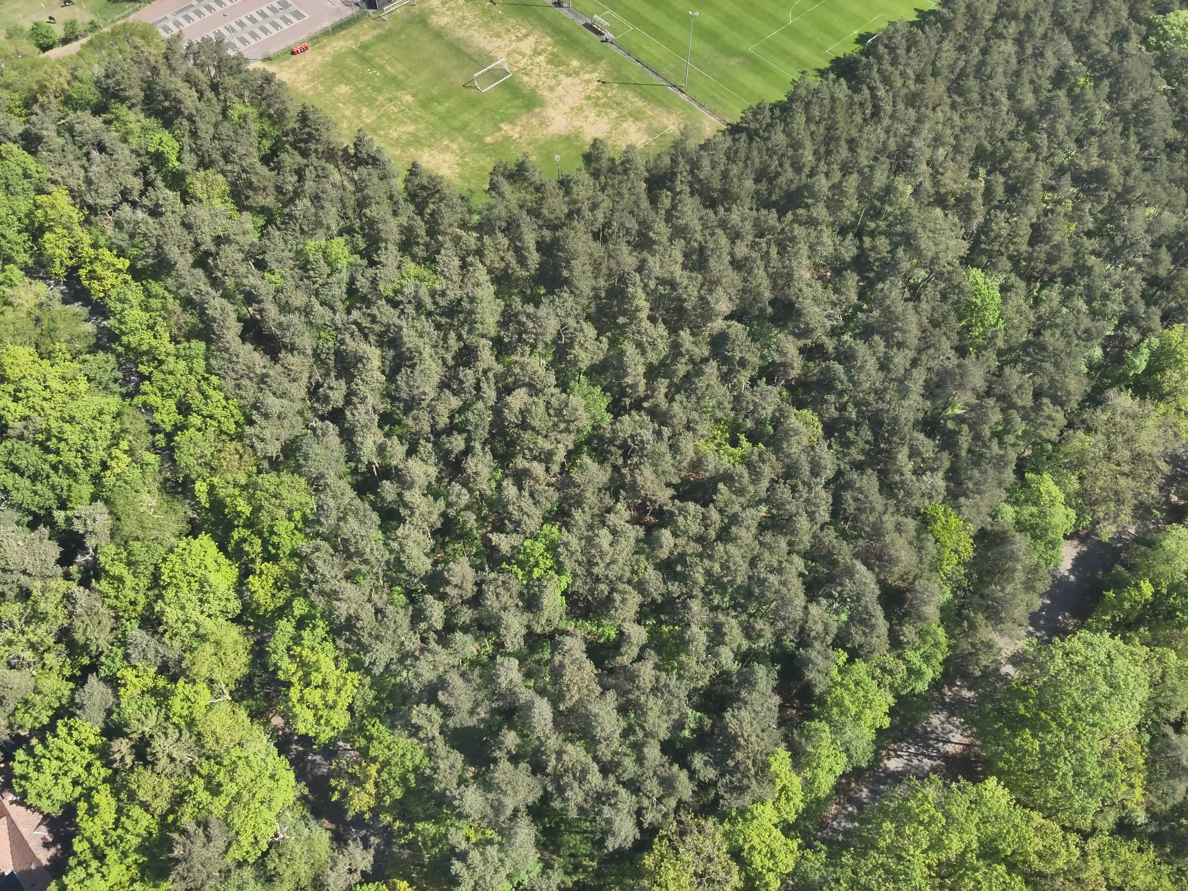 Elburgerweg - Hattemerbroek - Afbeelding 2