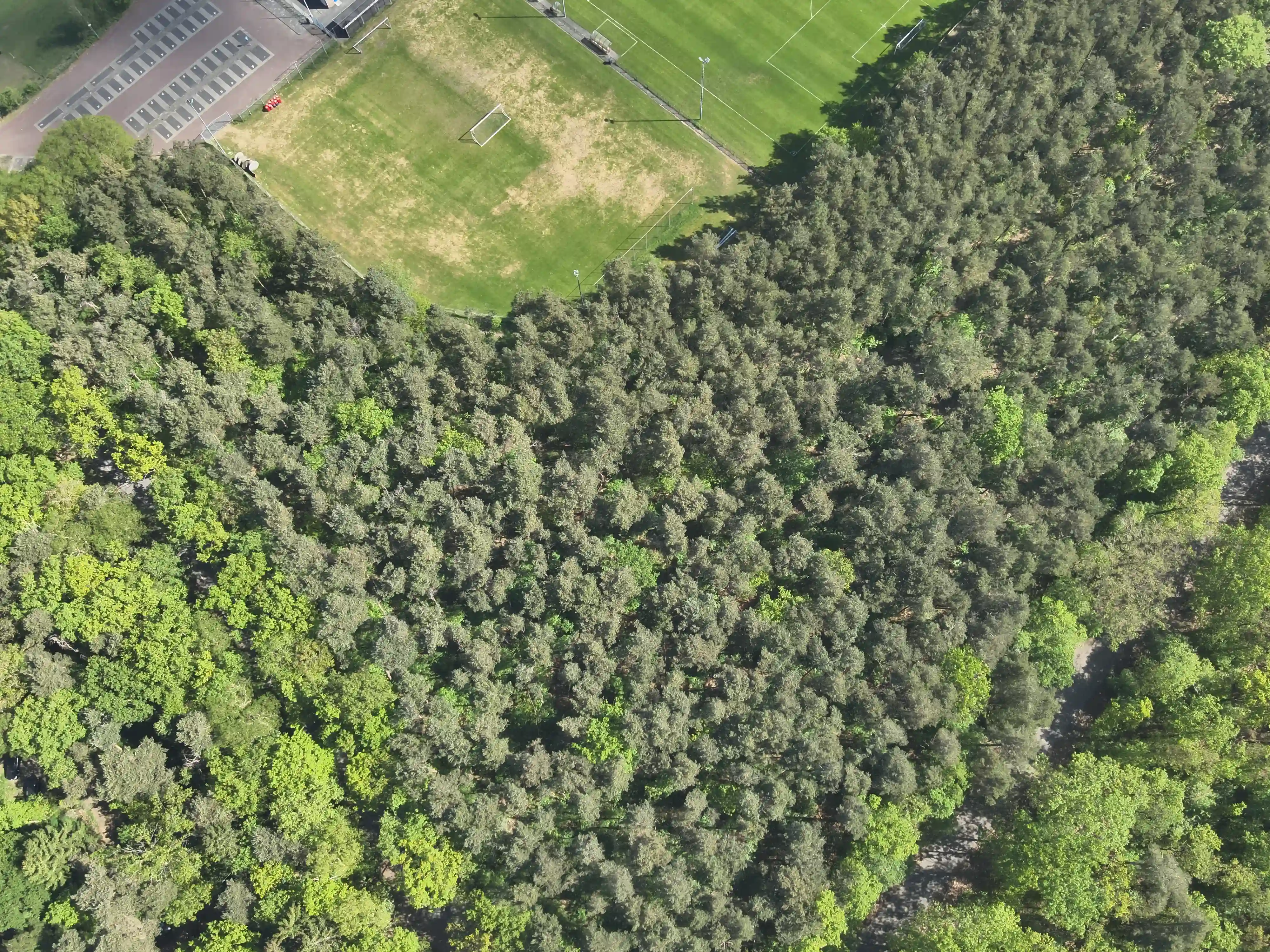 Elburgerweg - Hattemerbroek - Afbeelding 3