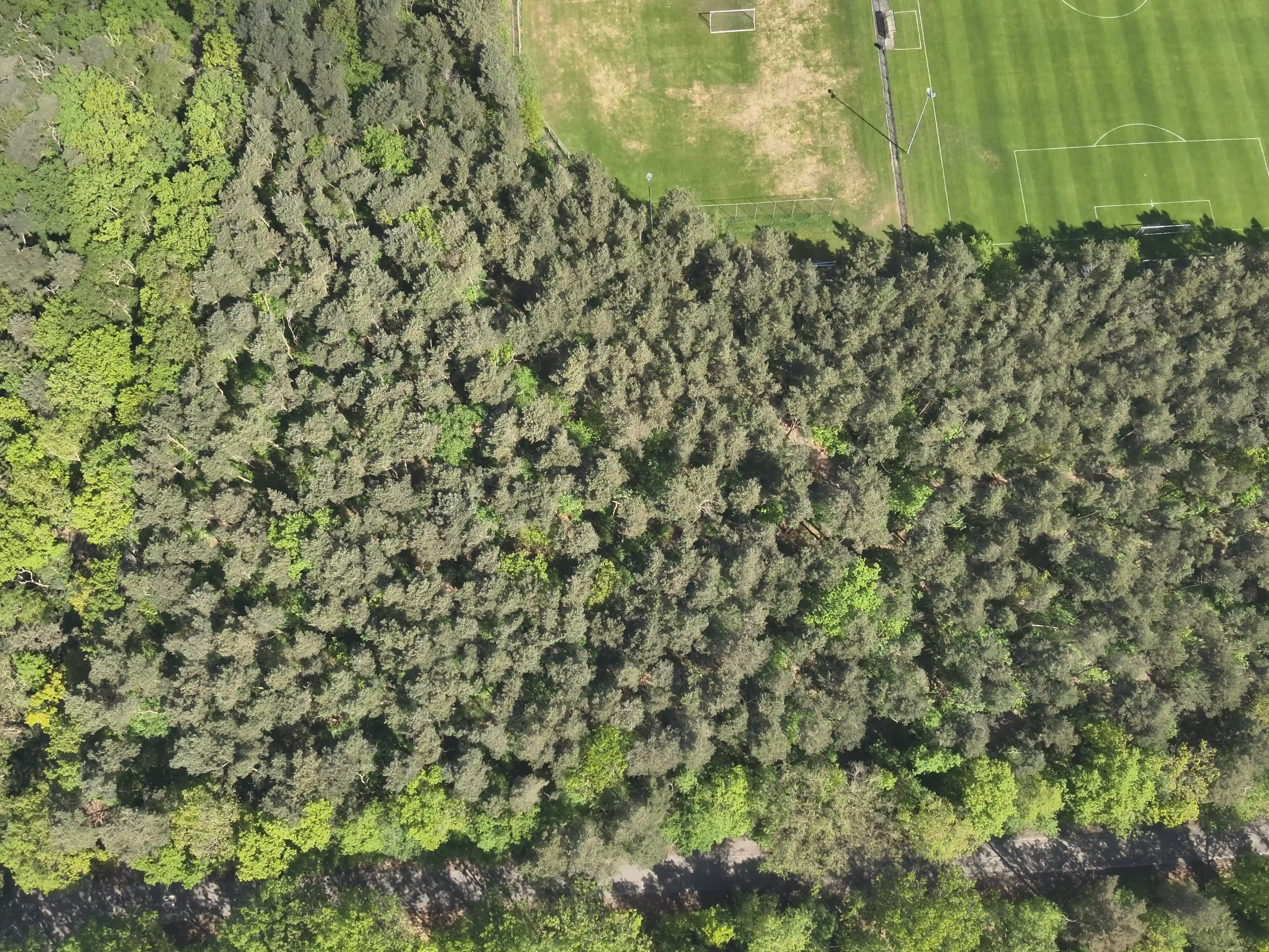 Elburgerweg - Hattemerbroek - Afbeelding 4
