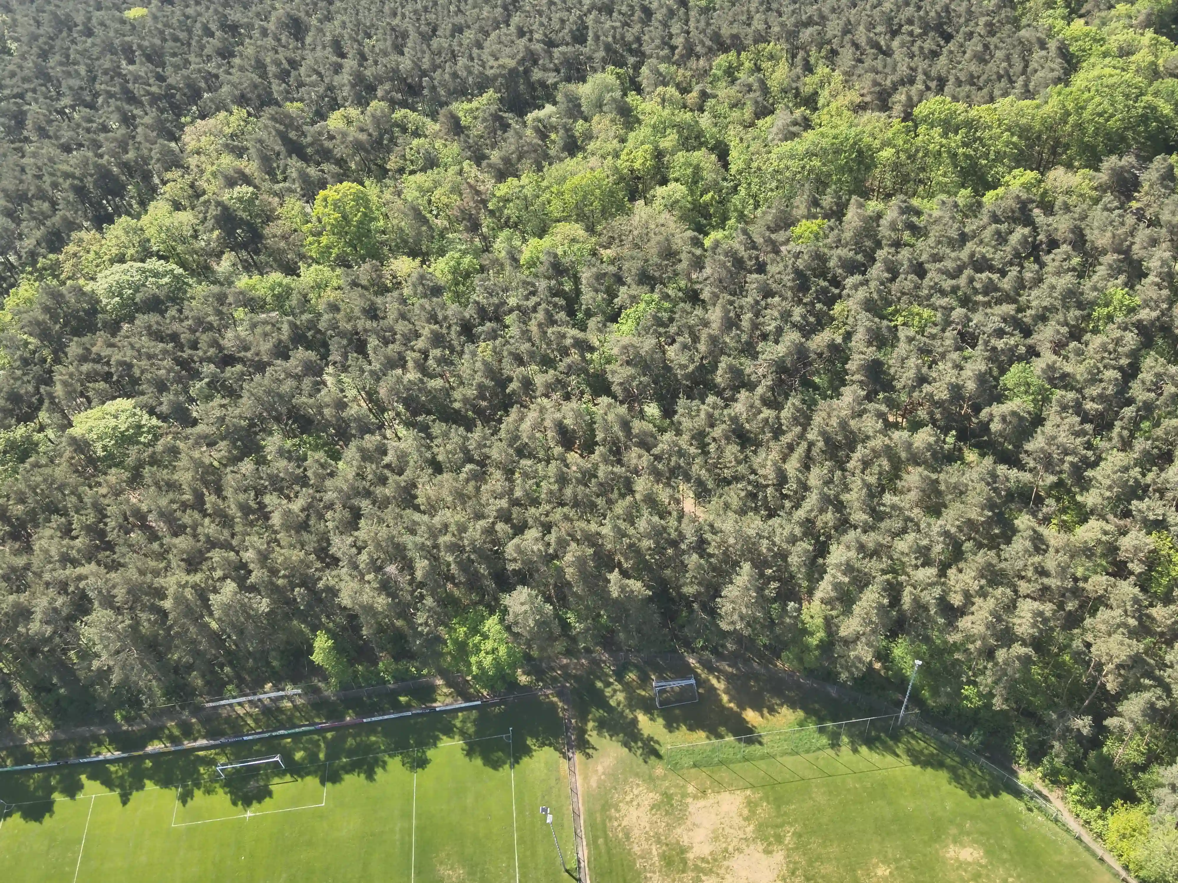 Elburgerweg - Hattemerbroek - Afbeelding 5