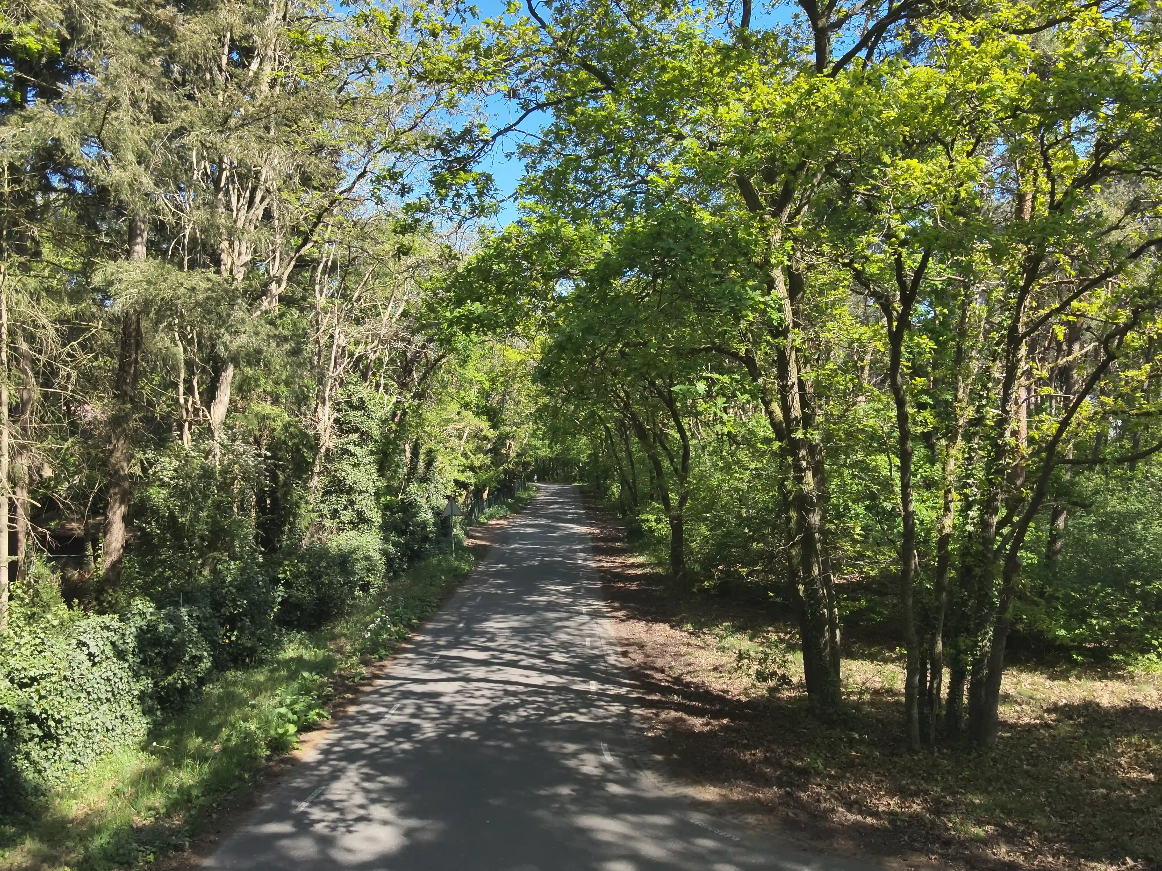 Elburgerweg - Hattemerbroek - Afbeelding 6