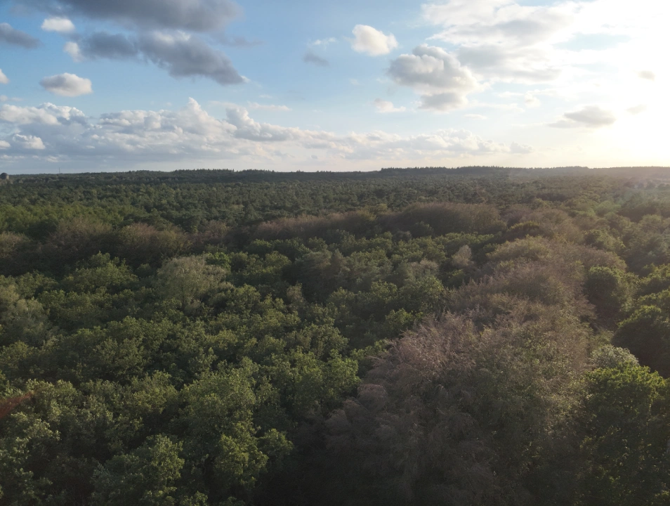 Paleisweg - Ermelo - Afbeelding 5