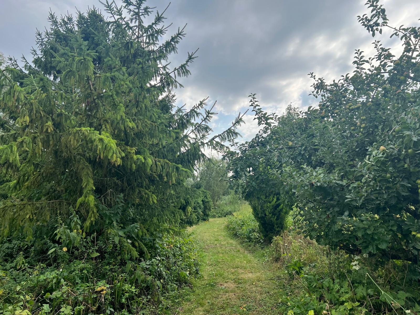 Diefdijk - Leerdam - Afbeelding 2