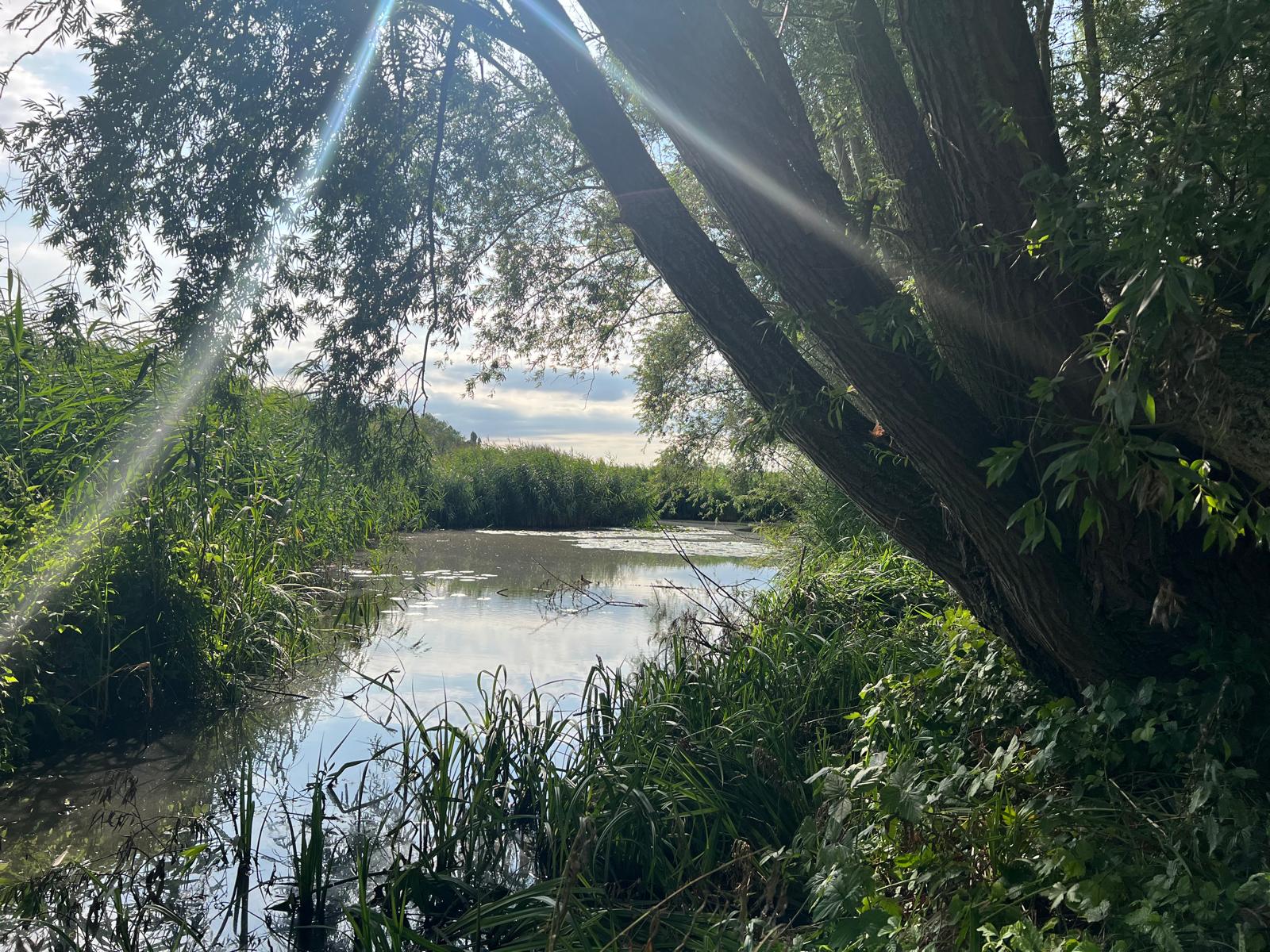 Diefdijk - Leerdam - Afbeelding 4