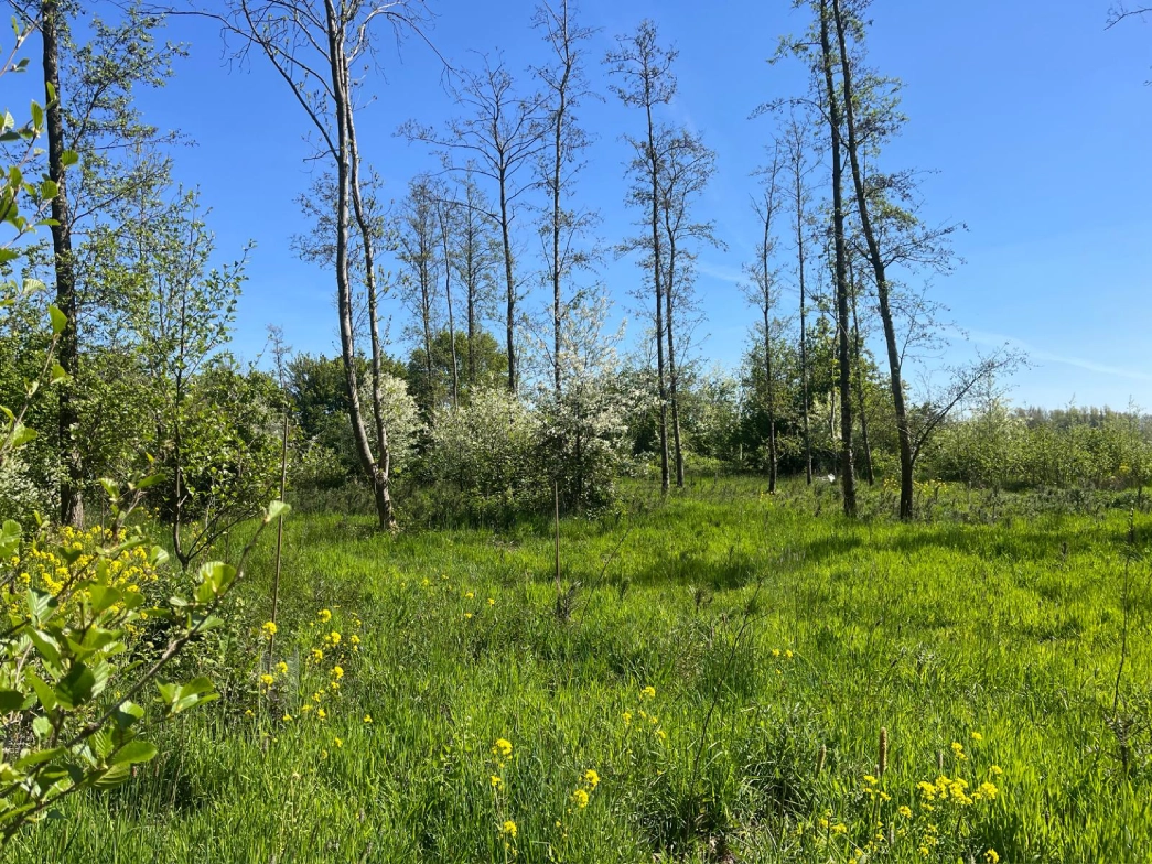 Uniek stuk natuurgrond - Vianen - Afbeelding 10