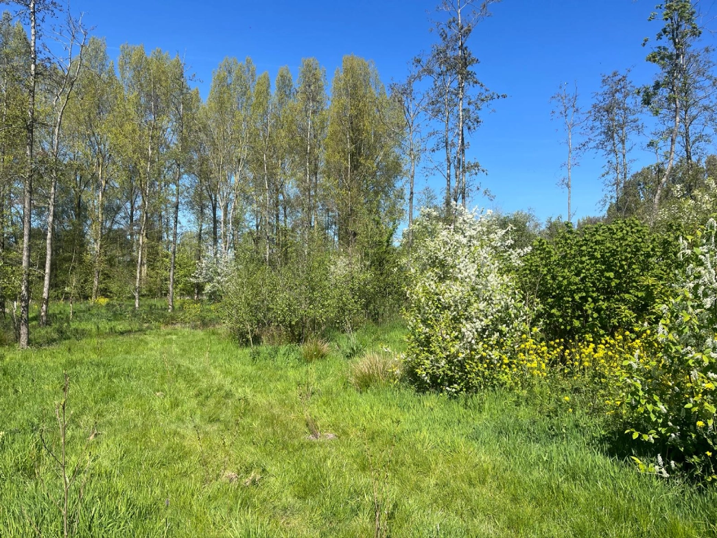 Uniek stuk natuurgrond - Vianen - Afbeelding 9