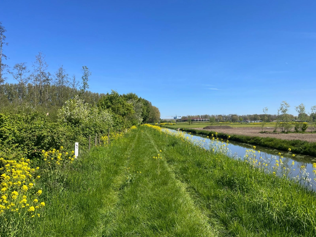 Uniek stuk natuurgrond - Vianen - Afbeelding 3
