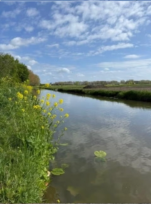 Uniek stuk natuurgrond - Vianen - Afbeelding 4