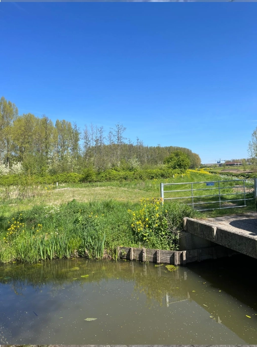 Uniek stuk natuurgrond - Vianen - Afbeelding 8