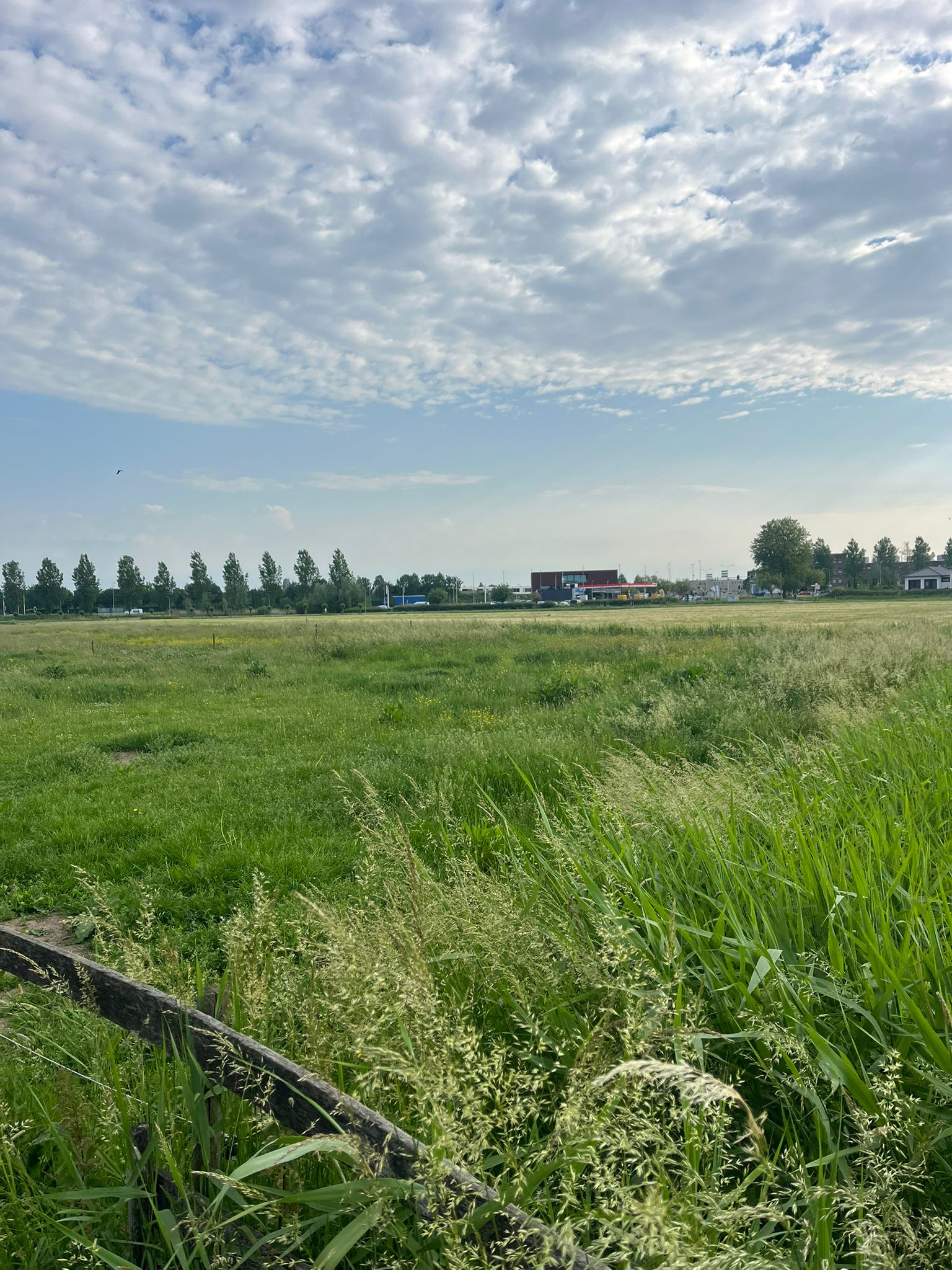Krangstraat - Bruchem - Afbeelding 4