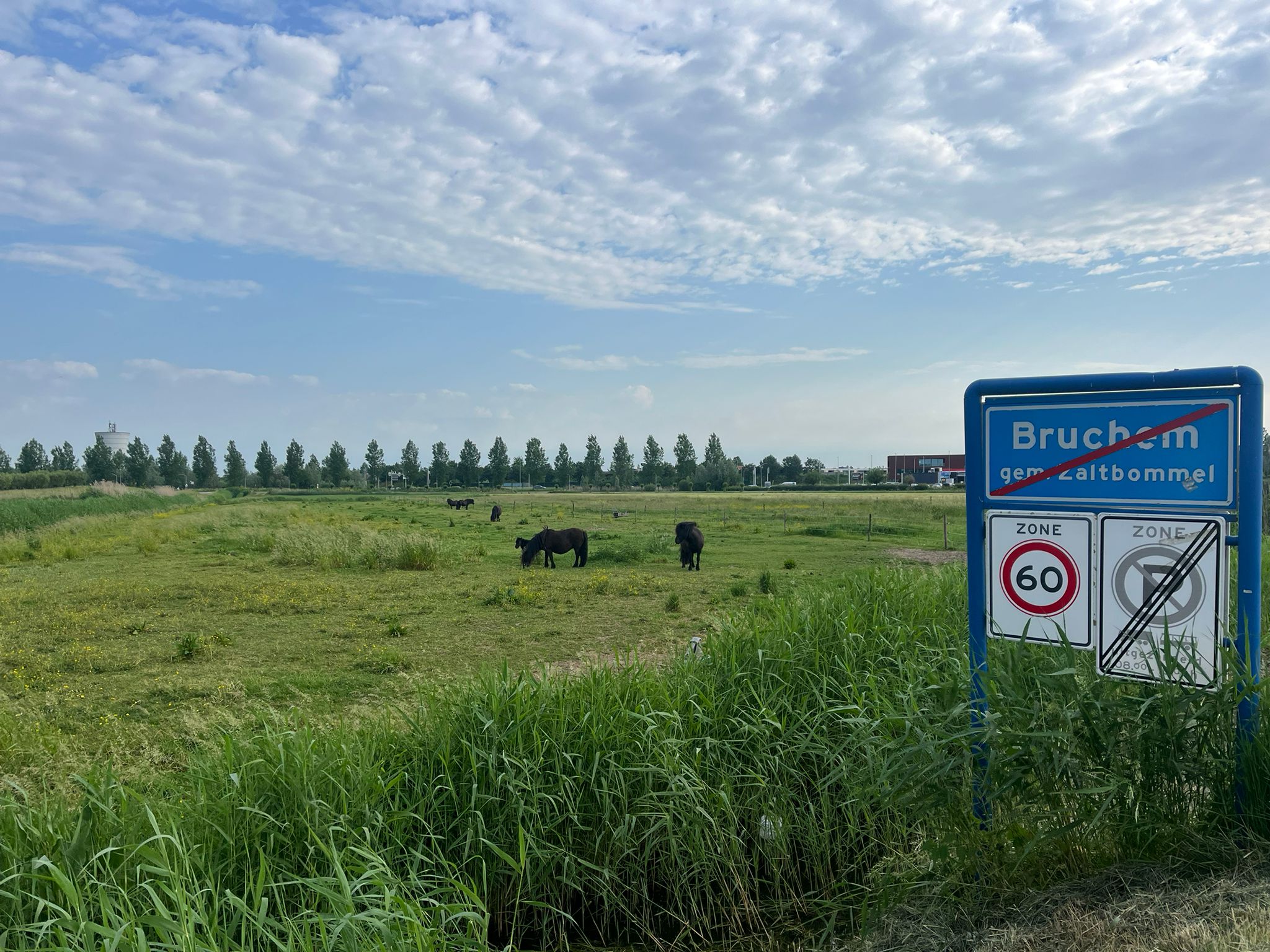 Krangstraat - Bruchem - Afbeelding 2