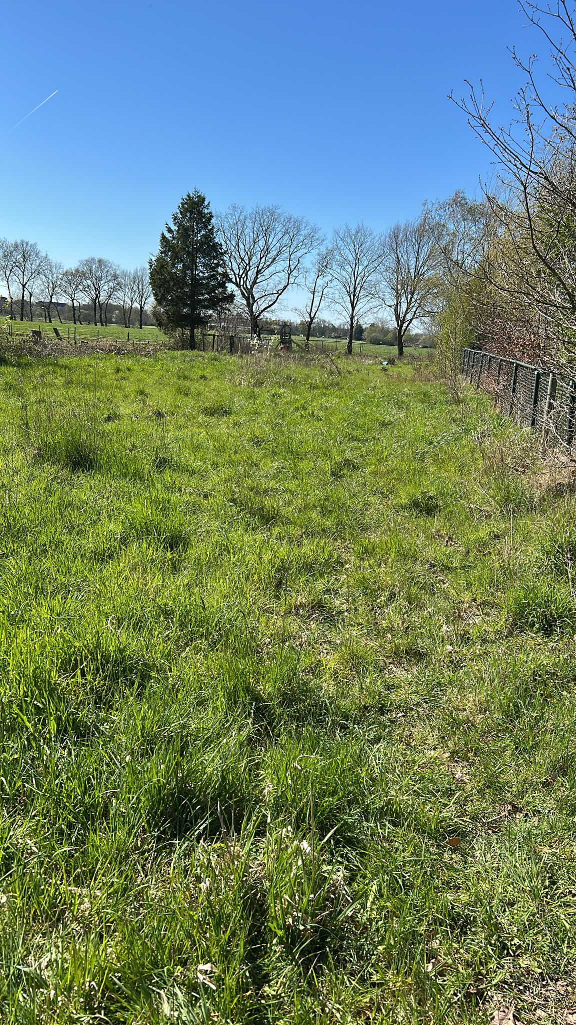 Lage Bremberg - Etten-Leur - Afbeelding 6