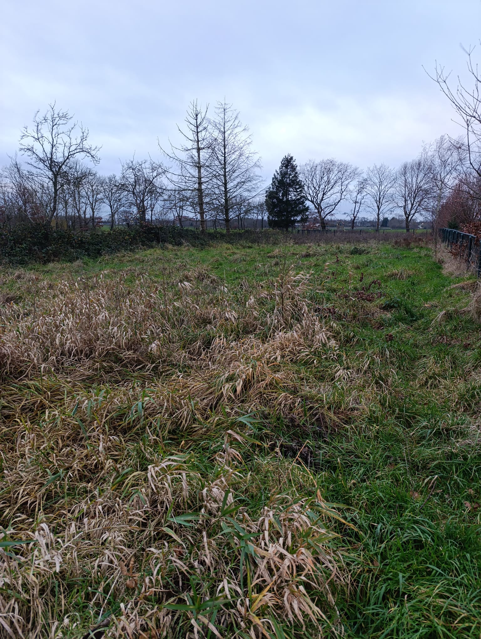 Lage Bremberg - Etten-Leur - Afbeelding 5