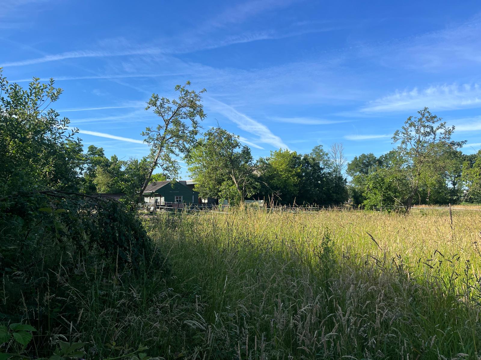 Lage Bremberg - Etten-Leur - Afbeelding 4