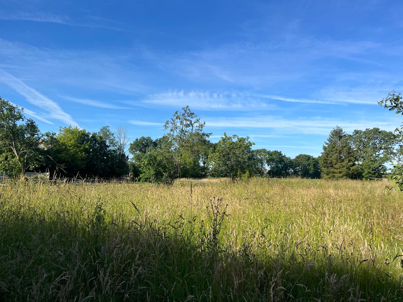 Lage Bremberg - Etten-Leur - Afbeelding 3