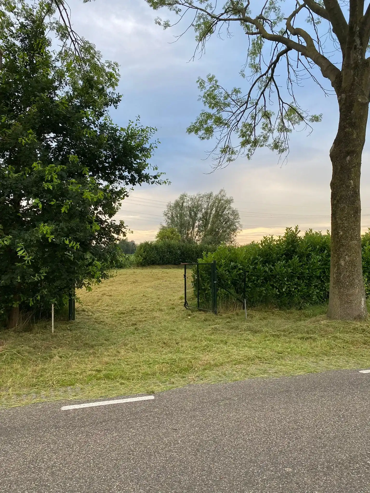 De Fransman - Oirschot - Afbeelding 3
