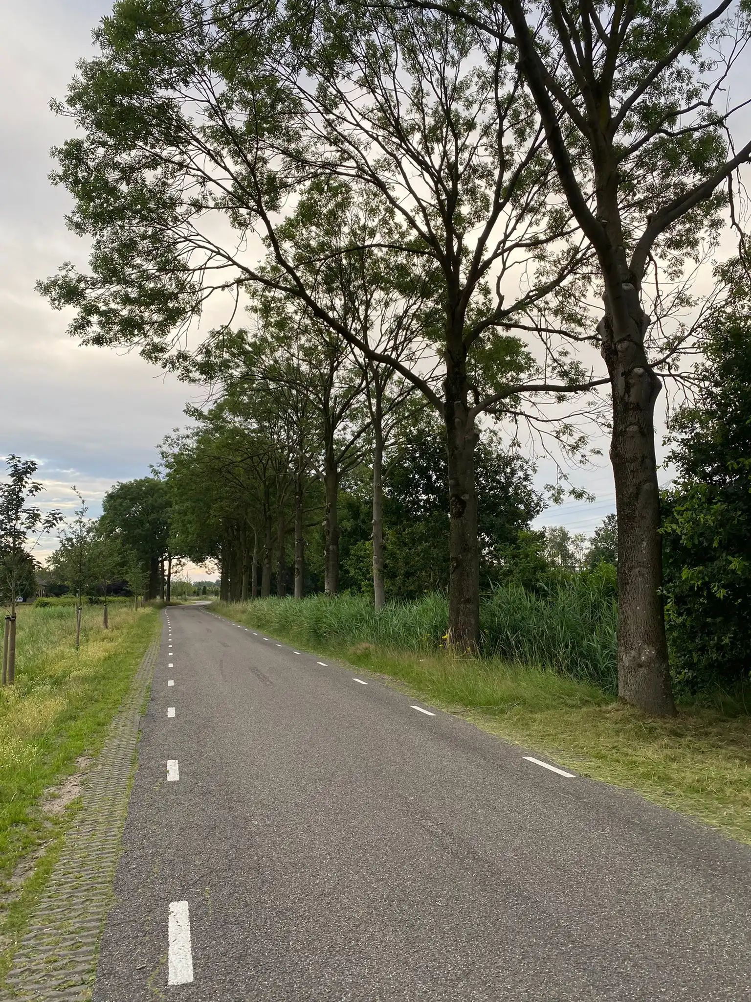 De Fransman - Oirschot - Afbeelding 2