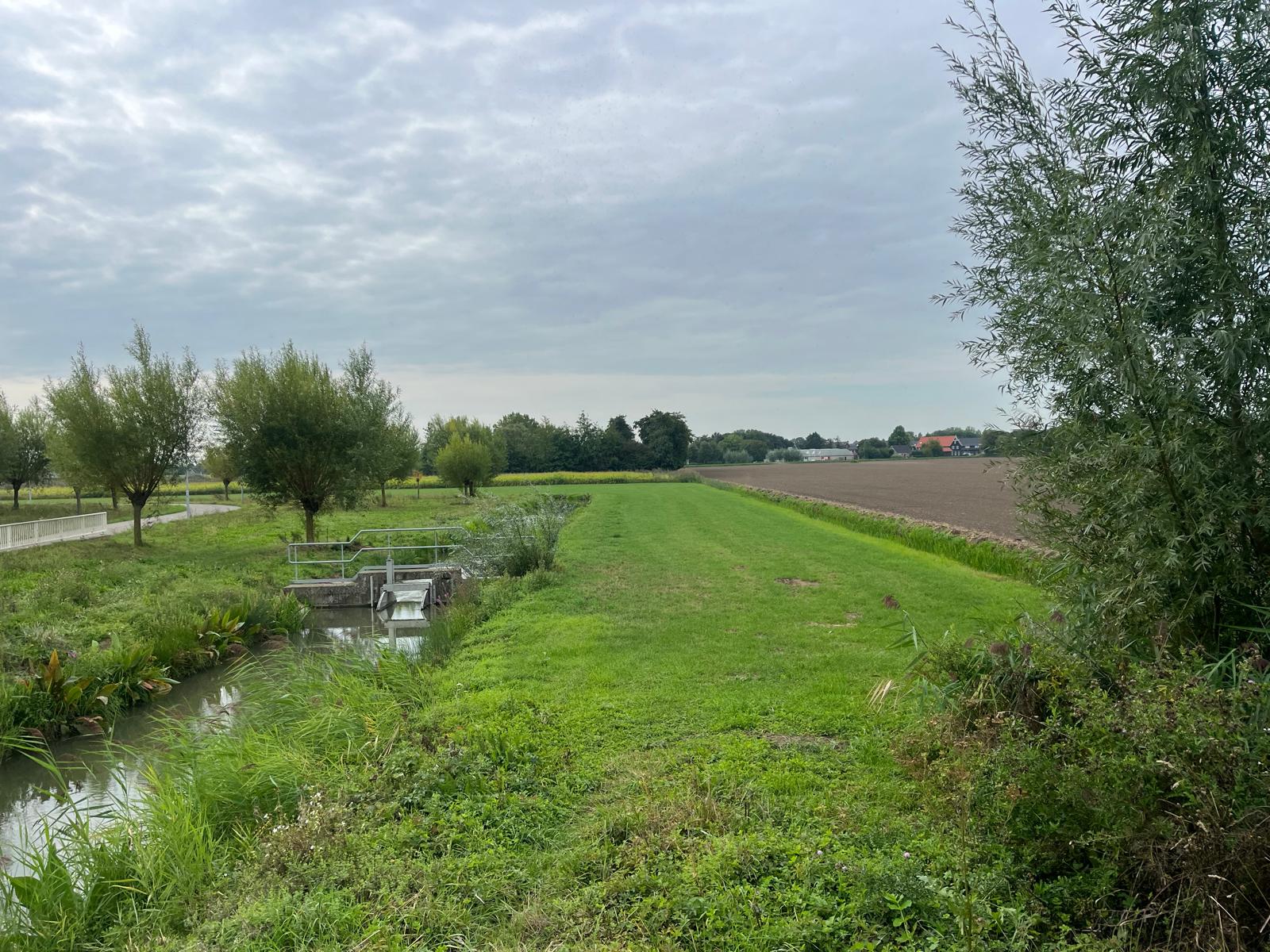 Middelsteeg - Zaltbommel - Afbeelding 9