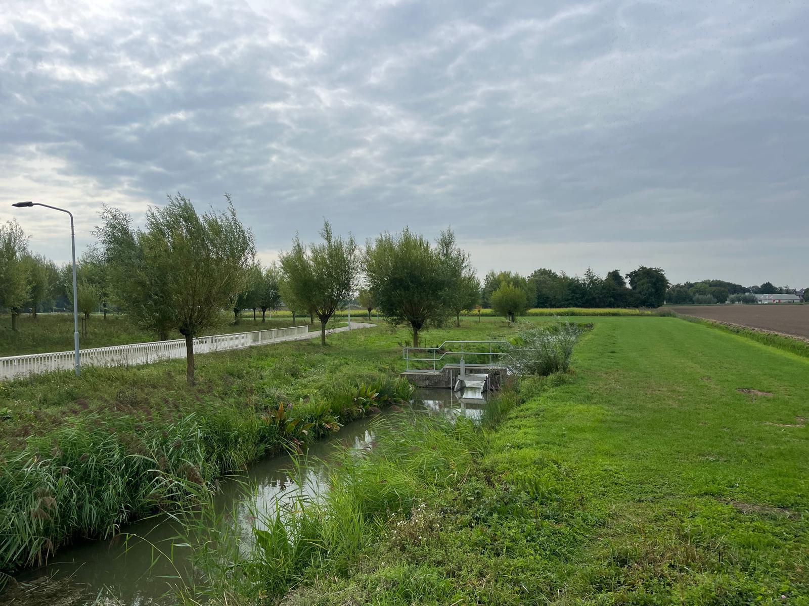 Middelsteeg - Zaltbommel - Afbeelding 8