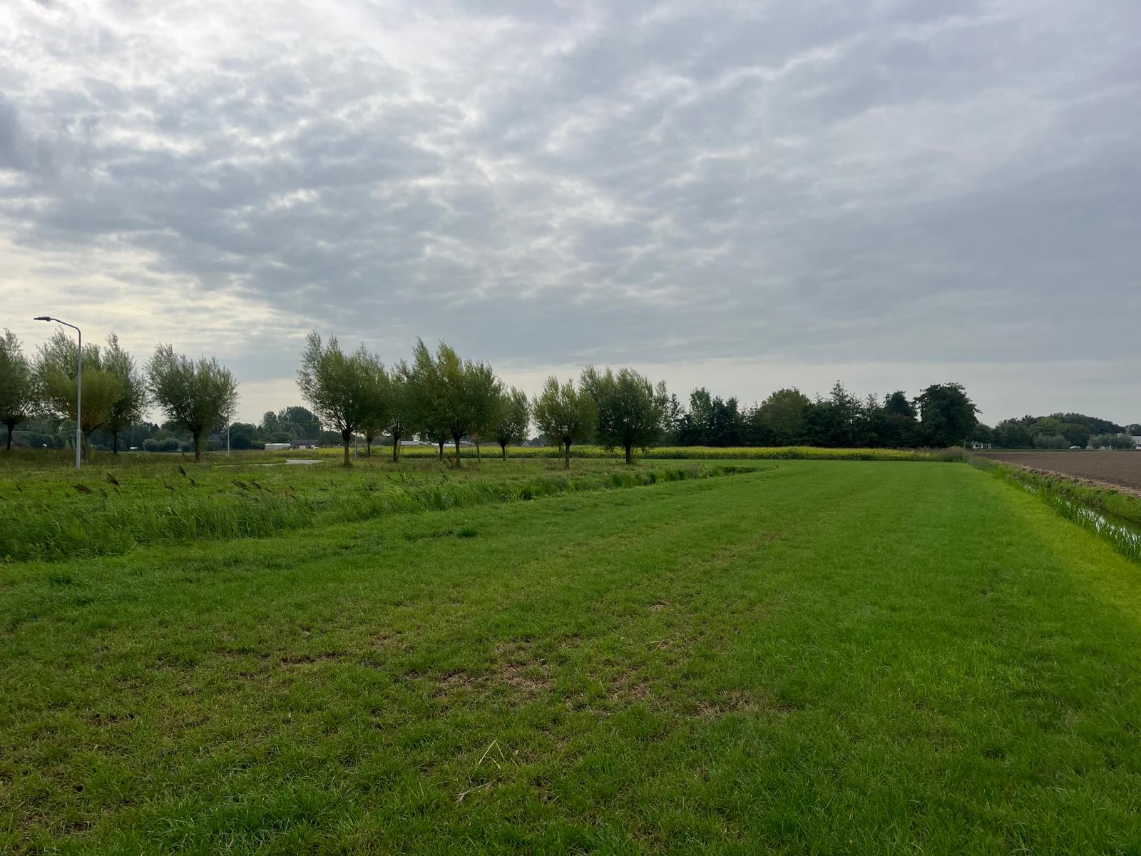 Middelsteeg - Zaltbommel - Afbeelding 7