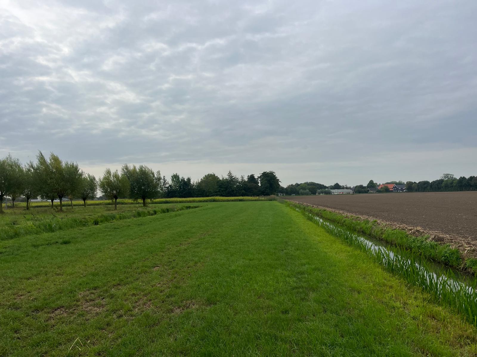 Middelsteeg - Zaltbommel - Afbeelding 5