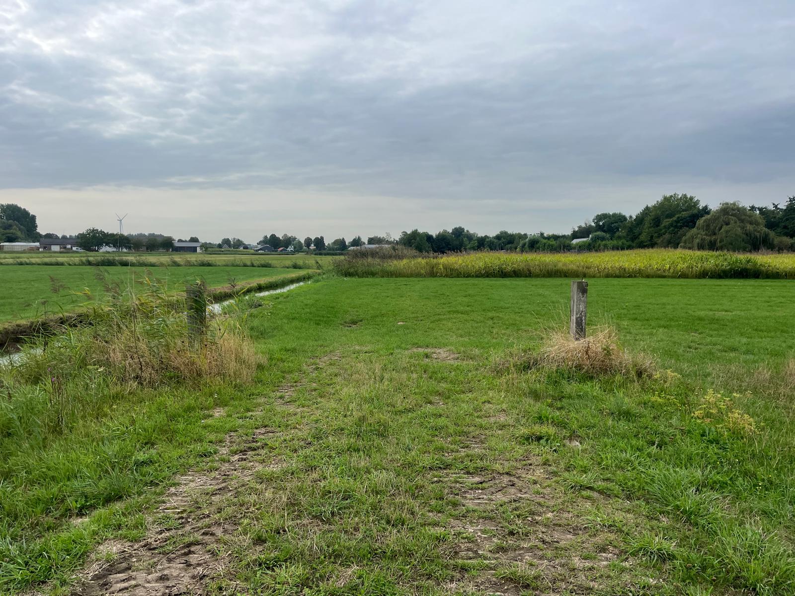 Middelsteeg - Zaltbommel - Afbeelding 3