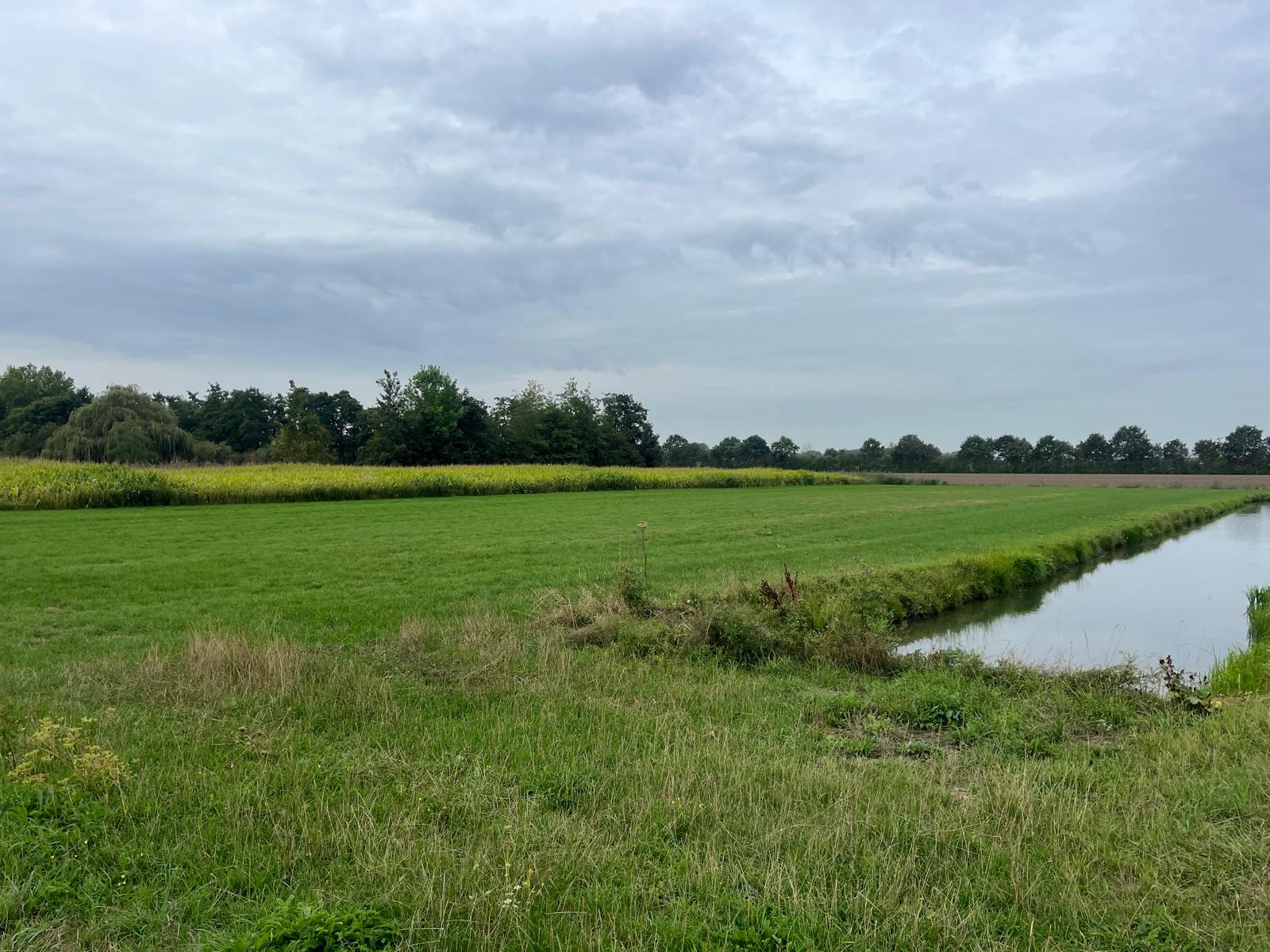 Middelsteeg - Zaltbommel - Afbeelding 2