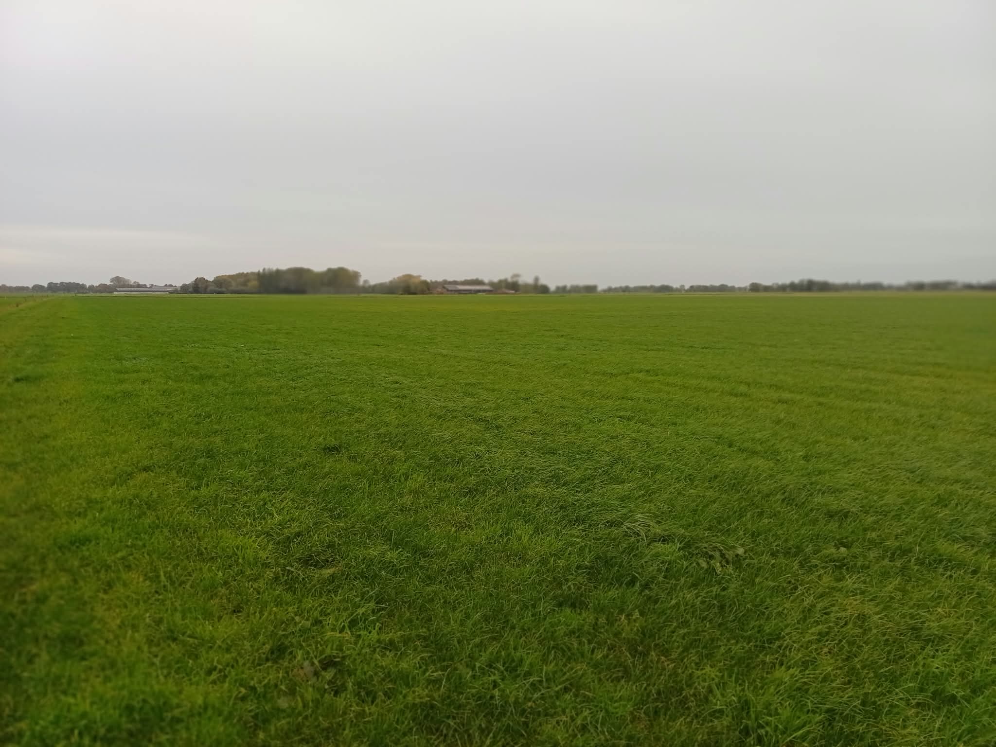 Boerweg - Hasselt - Afbeelding 2