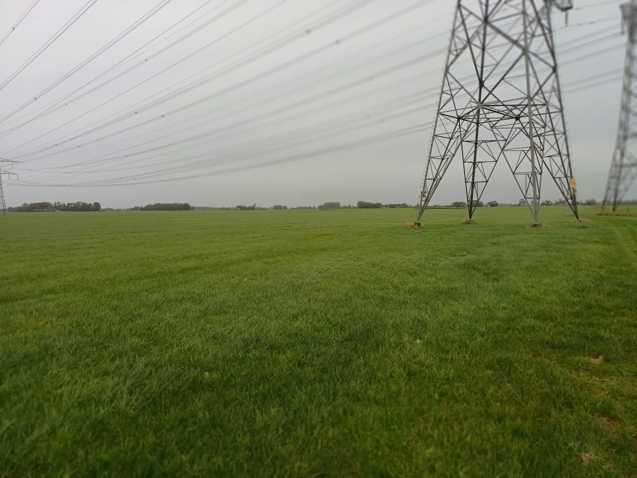 Boerweg - Hasselt - Afbeelding 3