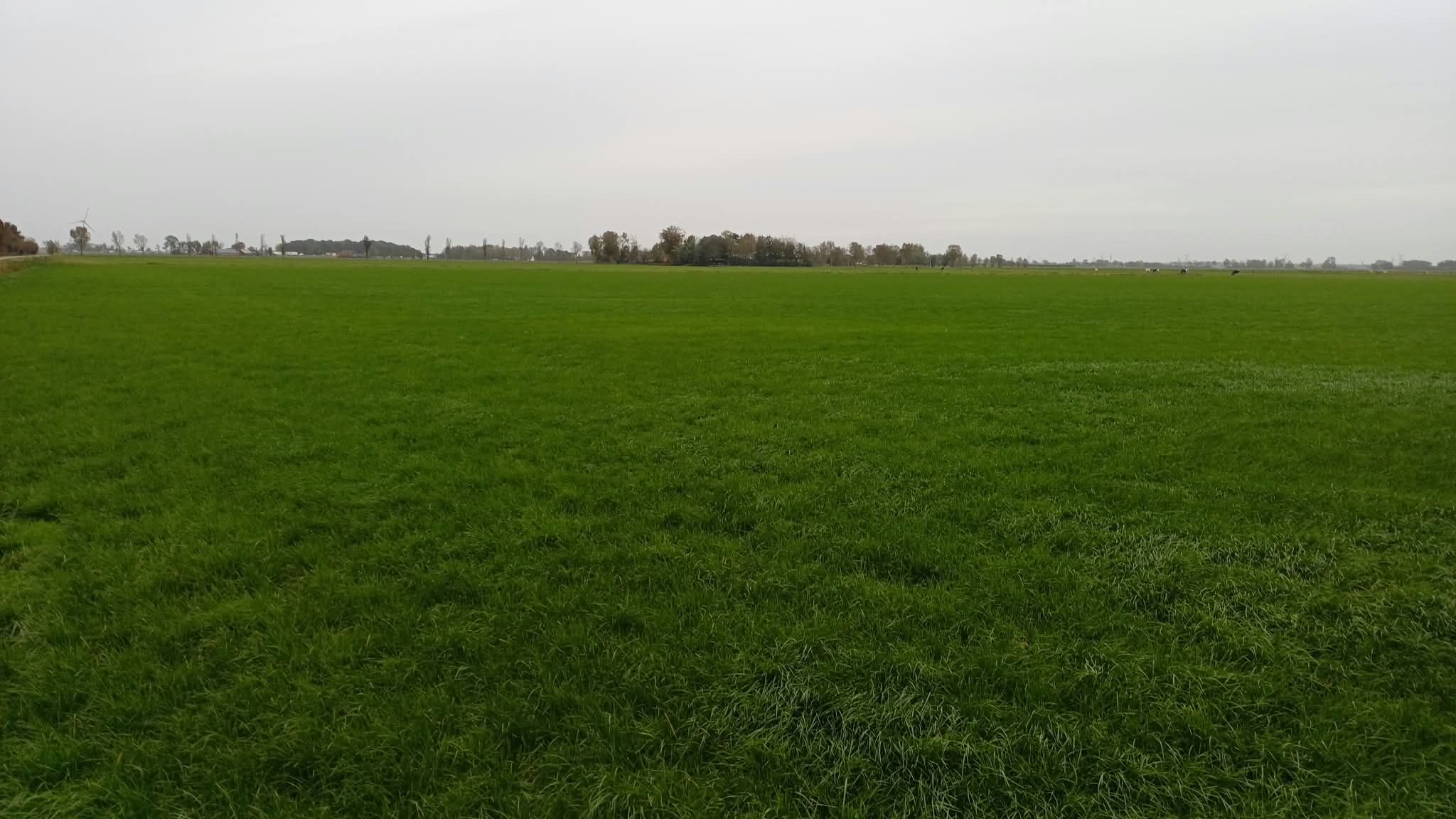 Grindweg Hasselt - Zwolle - Afbeelding 3