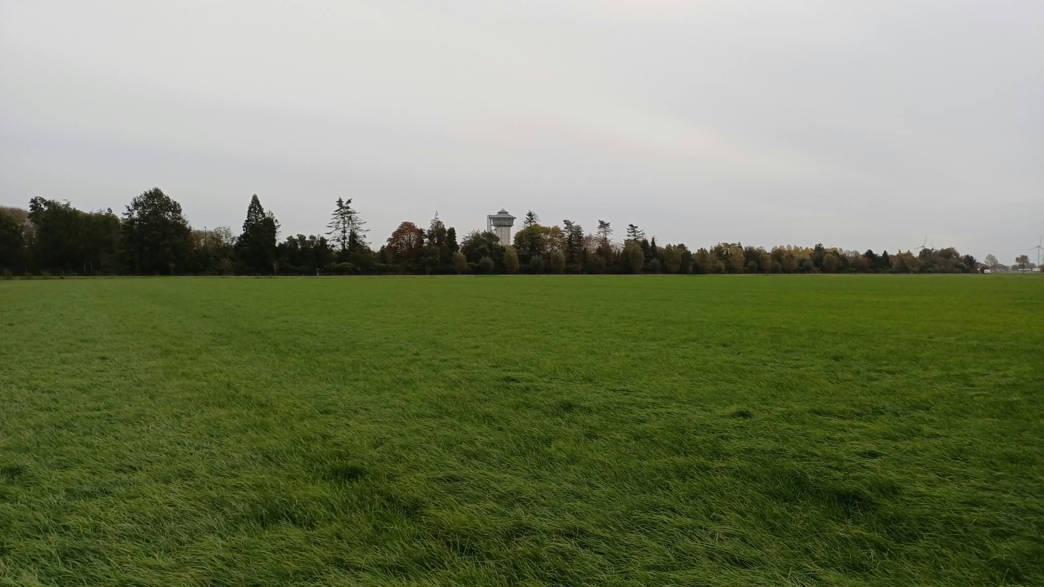 Grindweg Hasselt - Zwolle - Afbeelding 4