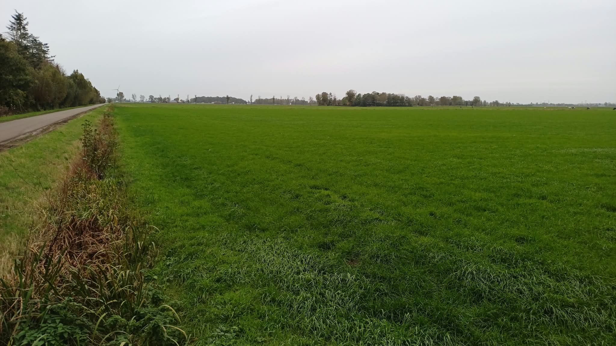 Grindweg Hasselt - Zwolle - Afbeelding 2
