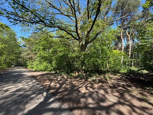 Elburgerweg - Hattemerbroek - Afbeelding 9