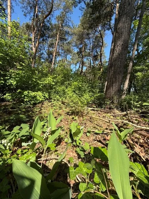 Elburgerweg - Hattemerbroek - Afbeelding 10
