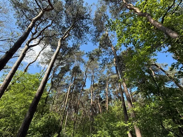 Elburgerweg - Hattemerbroek - Afbeelding 11