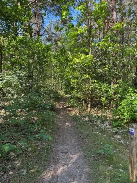Elburgerweg - Hattemerbroek - Afbeelding 12