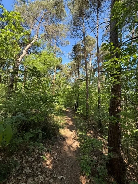 Elburgerweg - Hattemerbroek - Afbeelding 14