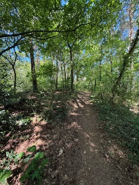 Elburgerweg - Hattemerbroek - Afbeelding 15