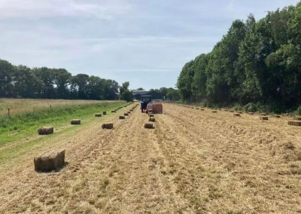 Hei - Kessel - Afbeelding 4