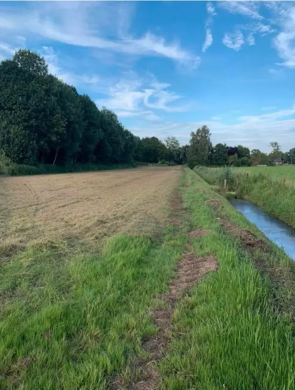 Hei - Kessel - Afbeelding 5