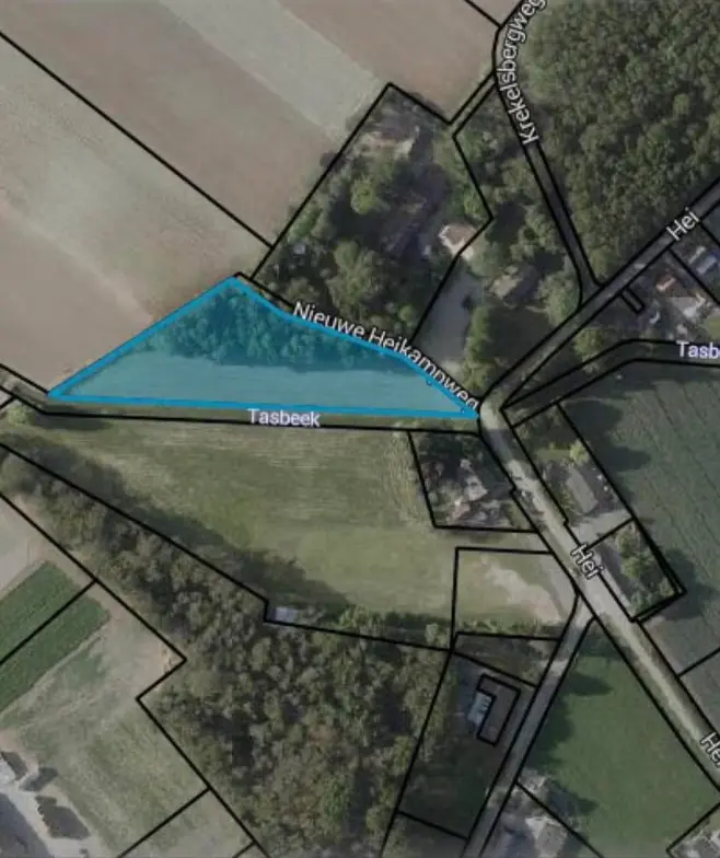 Hei - Kessel - Afbeelding 6