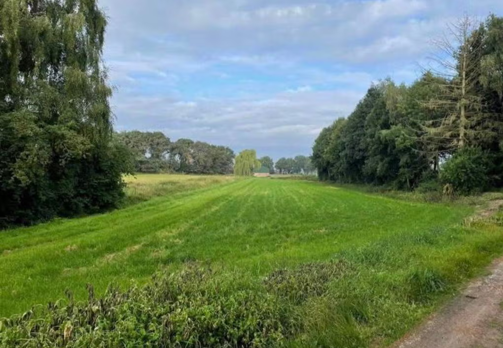 Hei - Kessel - Afbeelding 1